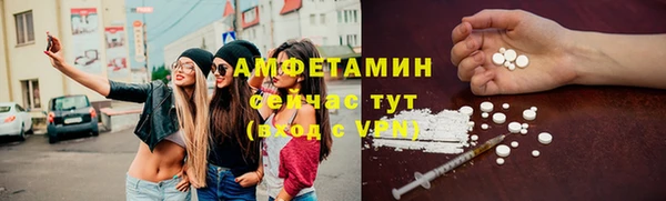 прущие грибы Абинск