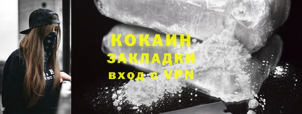 прущие грибы Абинск