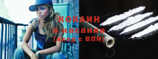 прущие грибы Абинск