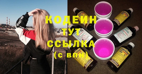 прущий лед Елизово
