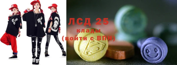 прущие грибы Абинск