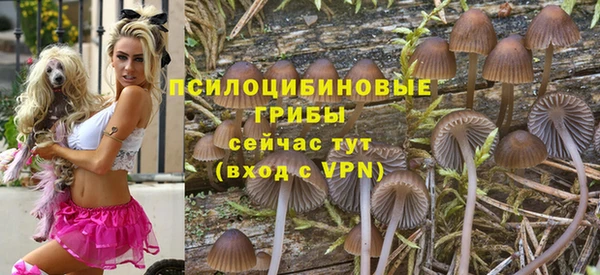 мяу мяу кристалл Алексин