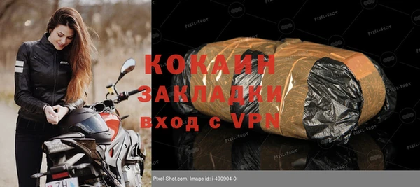 прущие грибы Абинск