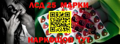 гидра Обнинск