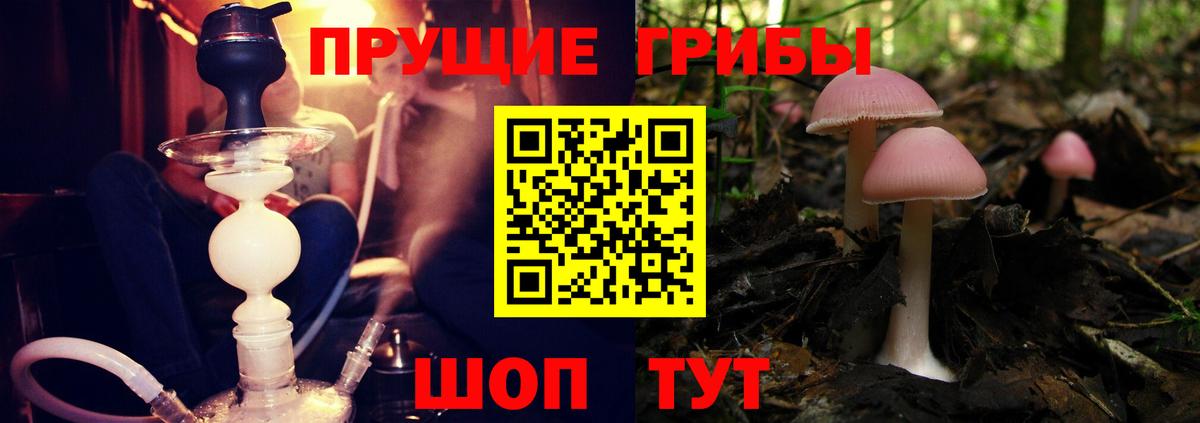 Ржев  Галлюциногенные грибы GOLDEN TEACHER  Вход с VPN  дарнет шоп  Псилоцибиновые грибы MAGIC MUSHROOMS 