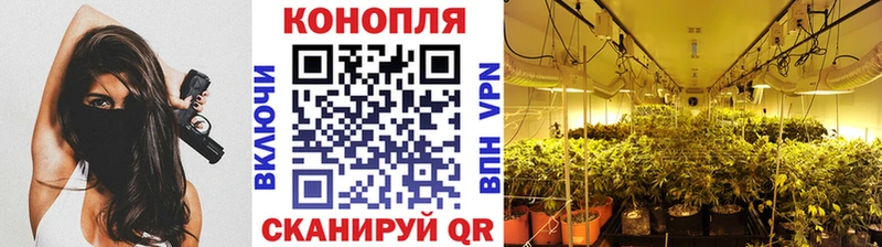 Шишки марихуана SATIVA & INDICA  Ржев 